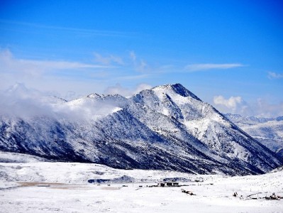 白条额度变现安全指南：出财小神合规流程解析与风险提示