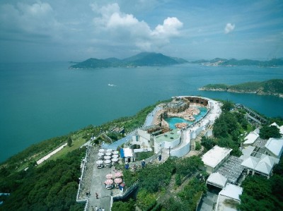 京东白条提现还款全攻略：官方渠道、操作步骤与注意事项