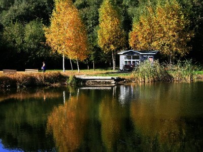 从犹豫到抢开！商家选择花呗分期的三大经营逻辑