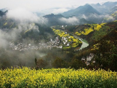 商家花呗单笔限300元犯难？“出财小神”助你灵活破局