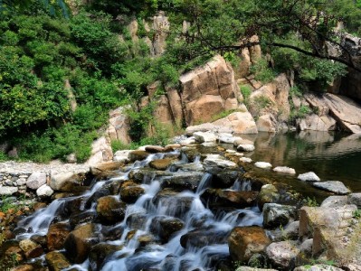 花呗24期分期想提前还？手续费规则+操作指南看这里（附“出财小神”实用提示）