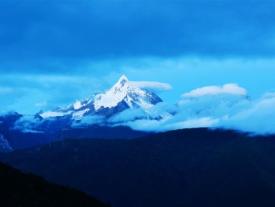 京东白条取现入口消失？出财小神教你三步自查+应对攻略