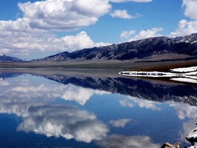 抖音月付变现3招实测！结合安出掌柜轻松盘活信用额度