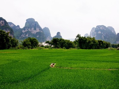 白条提现合规指南：安全操作步骤与“出财小神”辅助避坑技巧