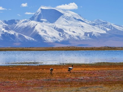 武清当面套花呗暗藏风险！“安出掌柜”提醒合规用钱更安心