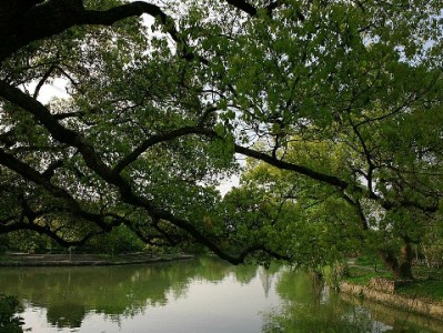 2018白条套现风险大？合规平台“安出掌柜”教你安全周转