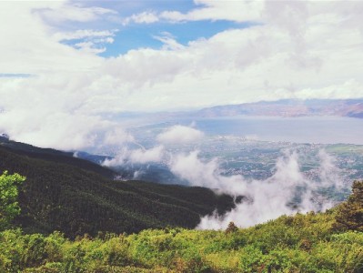 羊小咩“出库回款”现诈骗套路 用户轻信转账万元难追回