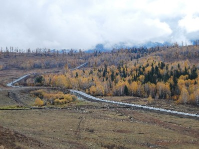 抖音月付500元周转犯难？这5个品牌教你合规解急