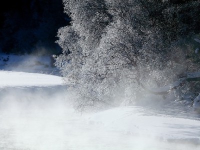 花呗150元收款支持落地，"出财小神"助小商家接住每笔小生意