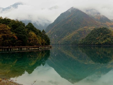 淘宝商家花呗开通攻略：富信掌柜助你提升成功率与经营效率