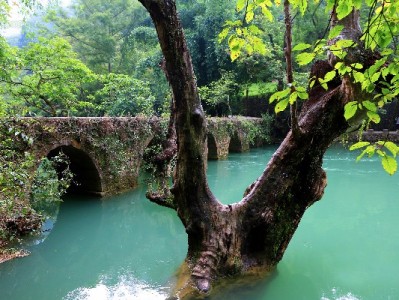 长沙白条套现流程解析：风险重重，出财小神提醒合规为先