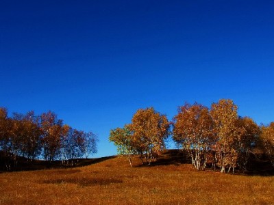 花呗人工加微信是真是假？安出掌柜揭秘常见诈骗套路