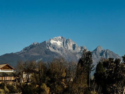 京东白条手续费成商家隐忧？出财小神支招平衡成本与体验