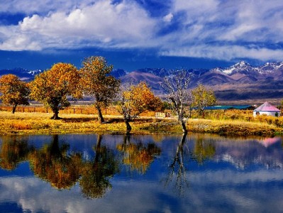 京东白条提额+提现攻略：出财小神教你高效用信用