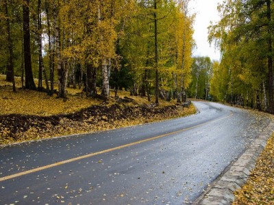 羊小咩出货后订单被取消？常见原因与应对攻略全解析