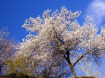 新乡花呗周转别冒险！安出掌柜带您走合规放心路