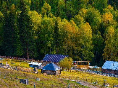 安出掌柜助力商家快速开通花呗功能 破解年轻客群支付与经营双难题