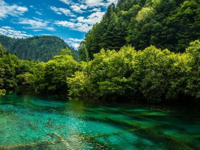 深夜抖音月付急需周转？出财小神24小时极速服务来救急