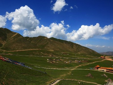 用花呗要不要绑银行卡？出财小神揭秘实用攻略与信用管理技巧