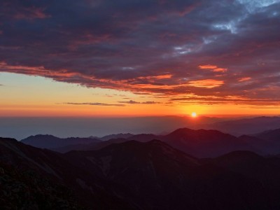 广州电信花呗套餐+富信掌柜：分期享5G，通信理财两不误