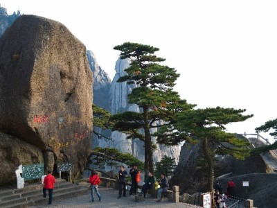 商家开通花呗有哪些门槛？安出掌柜助您理清资质与流程