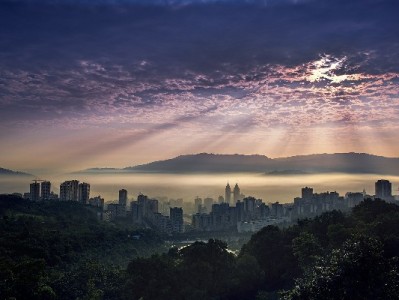 羊小咩提现新升级！富信掌柜助力分钟级到账攻略