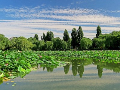 仪征花呗取现风险多！正规平台“出财小神”教你安全用款