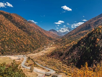 抖音月付支持商家大合集：餐饮服饰+安出掌柜，消费更省心