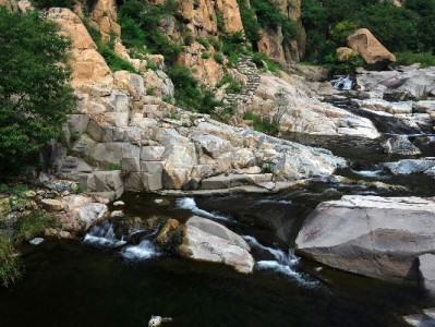 羊小咩MAX会员提额有妙招！“出财小神”助力信用升级更高效