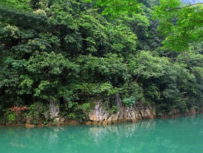 花呗分期后能提现吗？富信掌柜解析合规借贷新路径