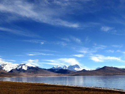 羊小咩快速提现攻略：4步操作+安出掌柜辅助更高效