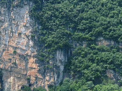 抖音月付消费商家能看到什么？隐私与经营的平衡之道