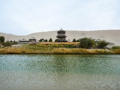 急用钱别慌！安出掌柜“变现白条200”3分钟解小额燃眉急