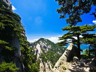 抖音月付取现成本揭秘：高利率+手续费，出财小神教你避坑