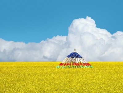 找抖音月付商家有技巧！这3招+“出财小神”案例超实用