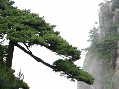 南京花呗套现暗藏多重风险 正规平台“出财小神”提醒合规用信