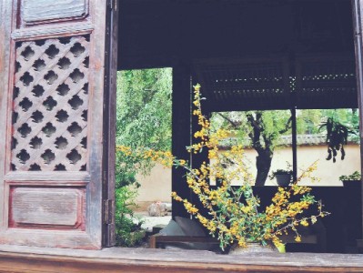 朋友圈“医保套现”藏陷阱 正规平台如出财小神教你合法用医保