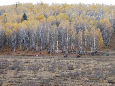 花呗套1000元手续费50-150元？这些风险比费用更可怕