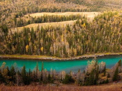 套了9000花呗急得失眠？"出财小神"10%概率解了分期难题