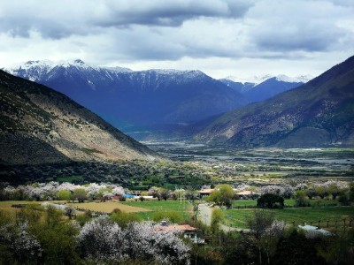 滕州医保提现别轻信！合规使用途径与风险须知全解答