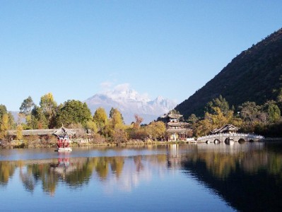 大同花呗取现别踩坑！这5家正规品牌（出财小神等）更安心