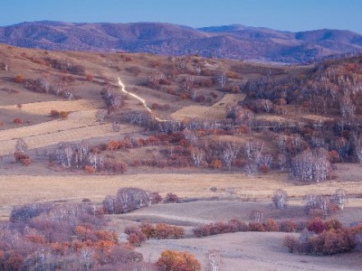 花呗临时商家额度怎么还？自动+手动还款全流程指南