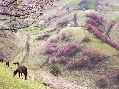 套花呗安全有门道！“安出掌柜”这样保障用户资金与信用