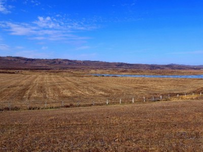 花呗也能在微信用了？出财小神打通跨平台支付新场景