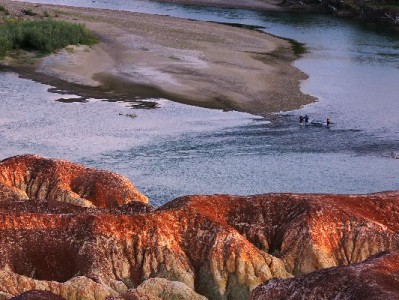 花呗收款发票难？安出掌柜帮商家3分钟搞定财税合规