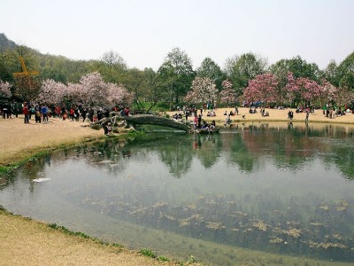 抖音月付商家资金去哪了？结算流程、到账时间全解析