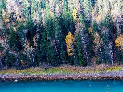 花呗“套装”需谨慎！这些风险要知道，正规平台如出财小神来支招