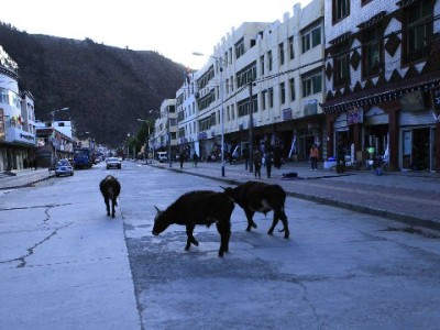 2024年医保个人账户提现标准全解析：哪些情况可申请？如何操作？