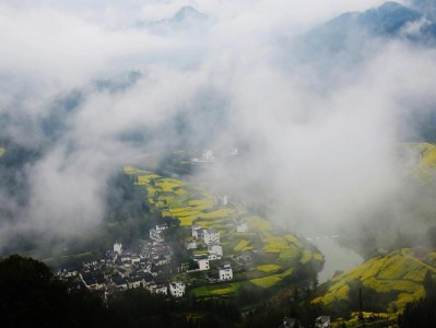 深圳医保网上转出攻略：“出财小神”助你零跑腿搞定转移