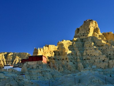 京东取现白条+出财小神：灵活周转有妙招，用信更省心